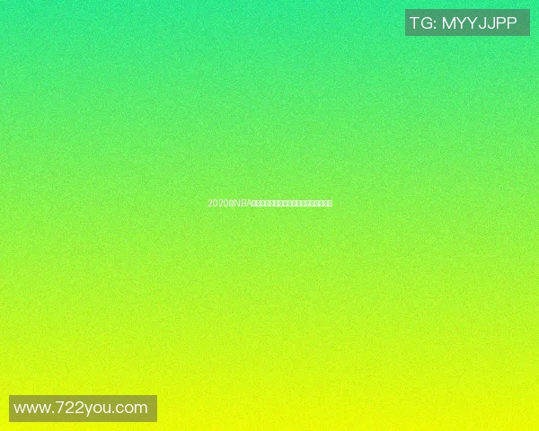 2020年NBA季后赛快船对掘金的经典对决回顾与分析